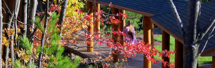 Forest Refuge – Schedule | Insight Meditation Society