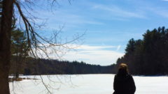 Quiet moment at Gaston Pond