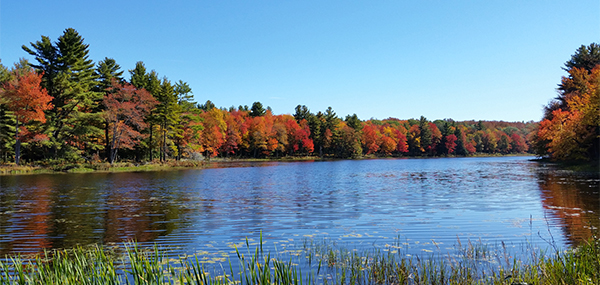 Vibrant colors on Gaston Pond