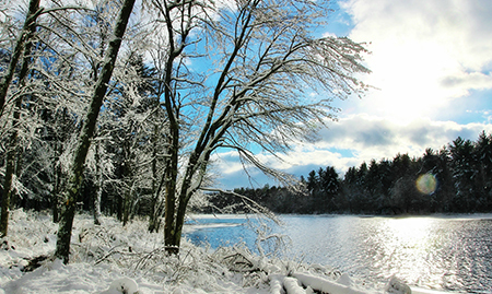 Gaston Pond in the winter sunlight