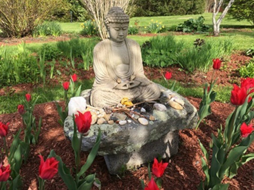 Retreat Center Buddha Garden