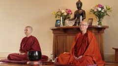 Bhikkhunis meditating