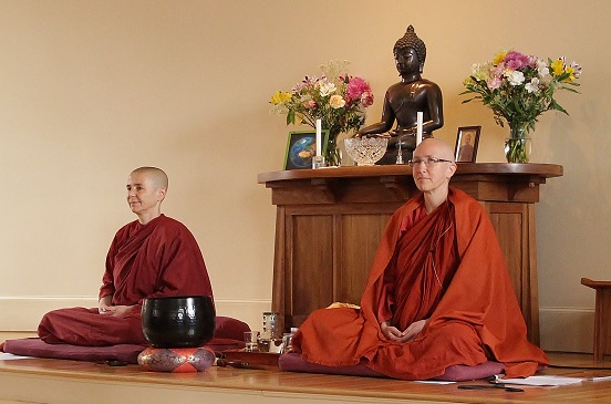 Bhikkhunis meditating