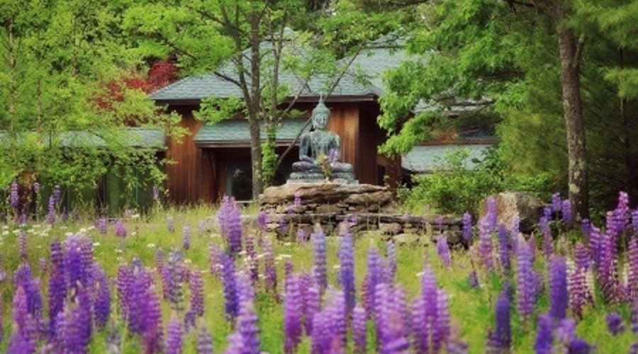 Buddha at Forest Refuge