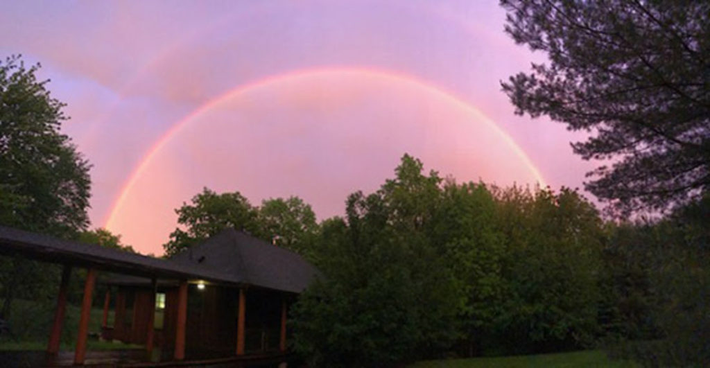 Double Rainbow Forest Refuge