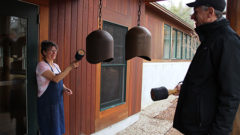 New Forest Refuge bells