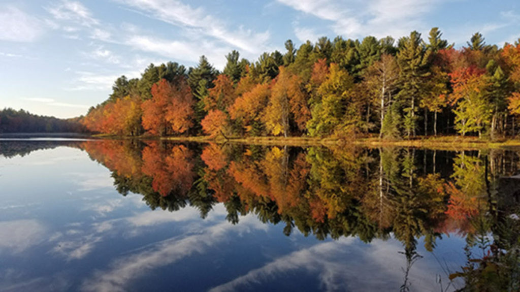 Gaston Pond