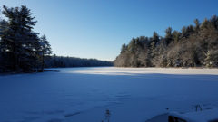 Gaston Pond - Winter