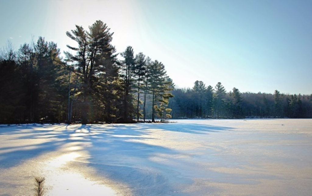 Light and Shadow on Gaston Pond