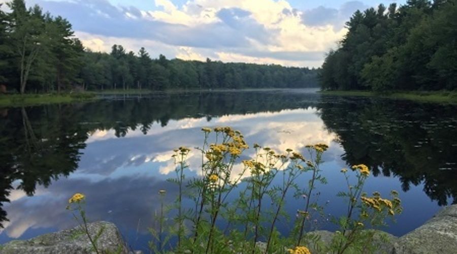 Summertime at Gaston Pond