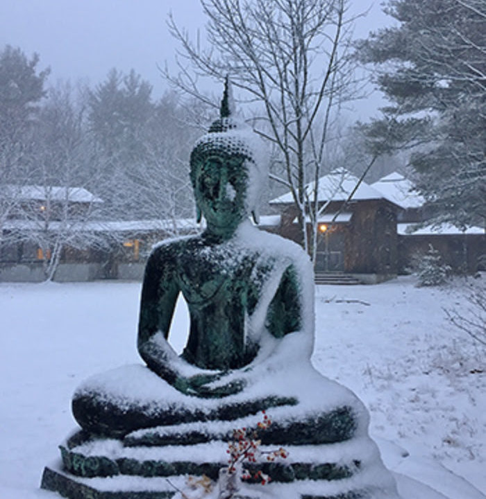Forest Refuge Schedule 2023 – Insight Meditation Society