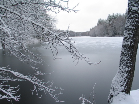 Wintery lake