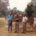 Joseph Goldstein with staff members Bob Trammell and Andrew Olendzki watch the start of 'Yogi Park' in the grounds of IMS.