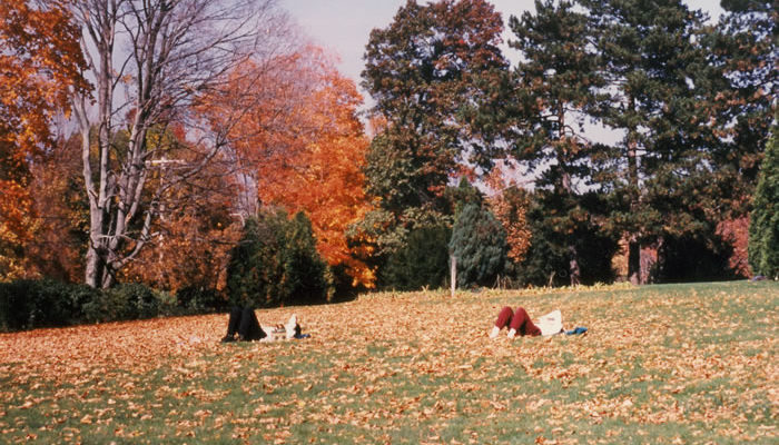 Enjoying fall on the front lawn.