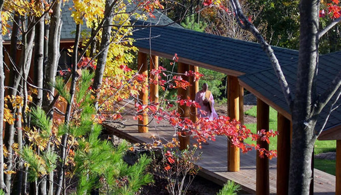 Fall colors at the Forest Refuge.