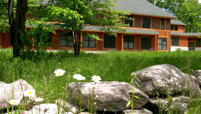 Wild daisies, lupins and other flowers bloom in the spring.