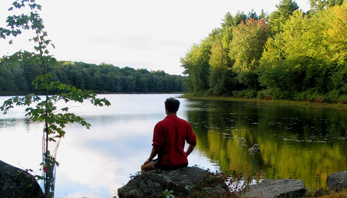 Gaston Pond, near IMS: A favorite yogi sitting place.
