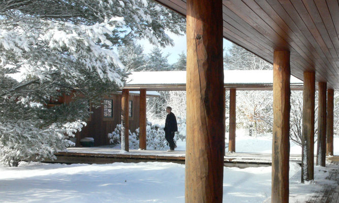 The quiet environs of the Forest Refuge become all the more serene during winter months.