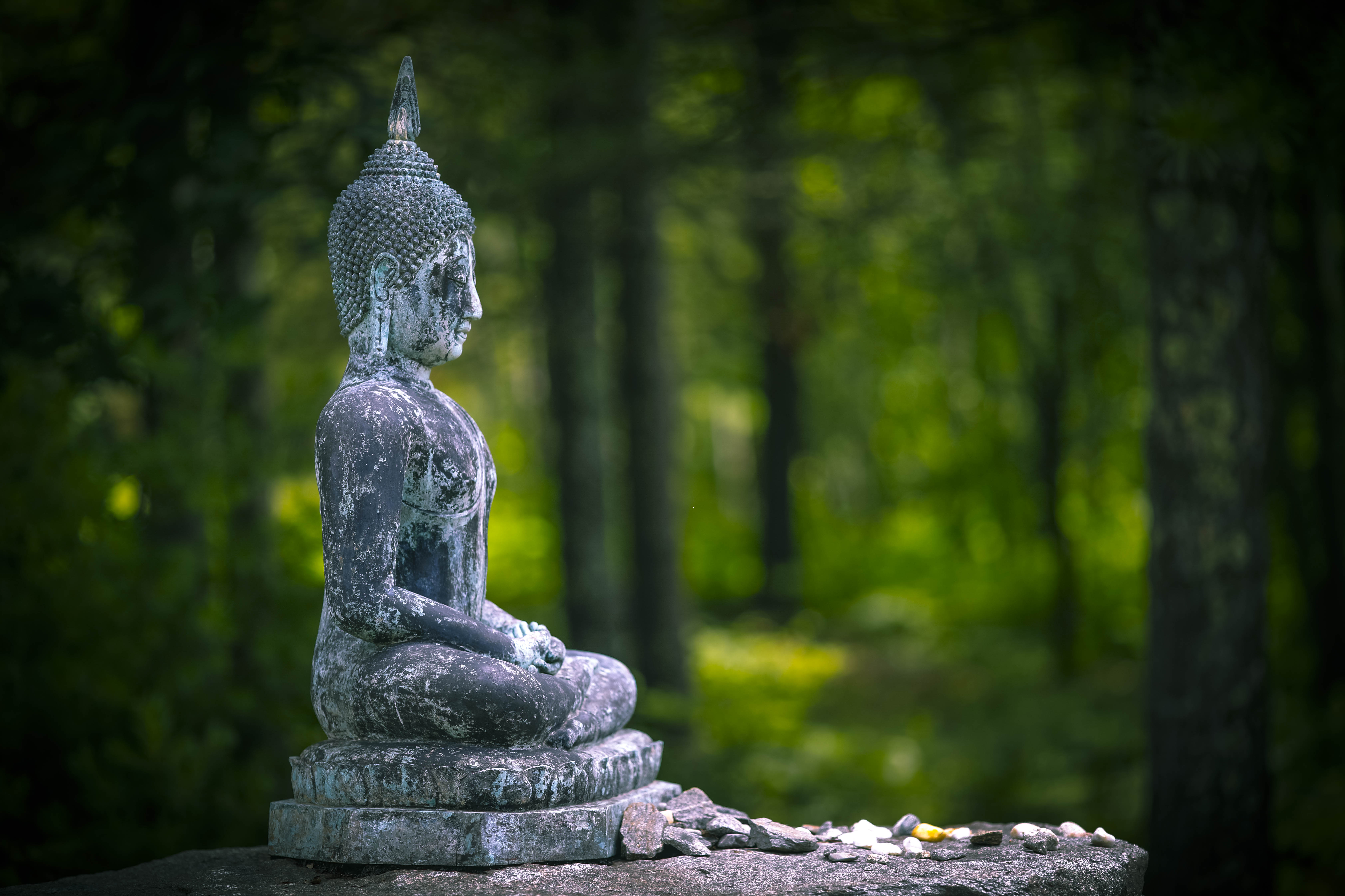 Citta: Mindfulness of Mind – Insight Meditation Society