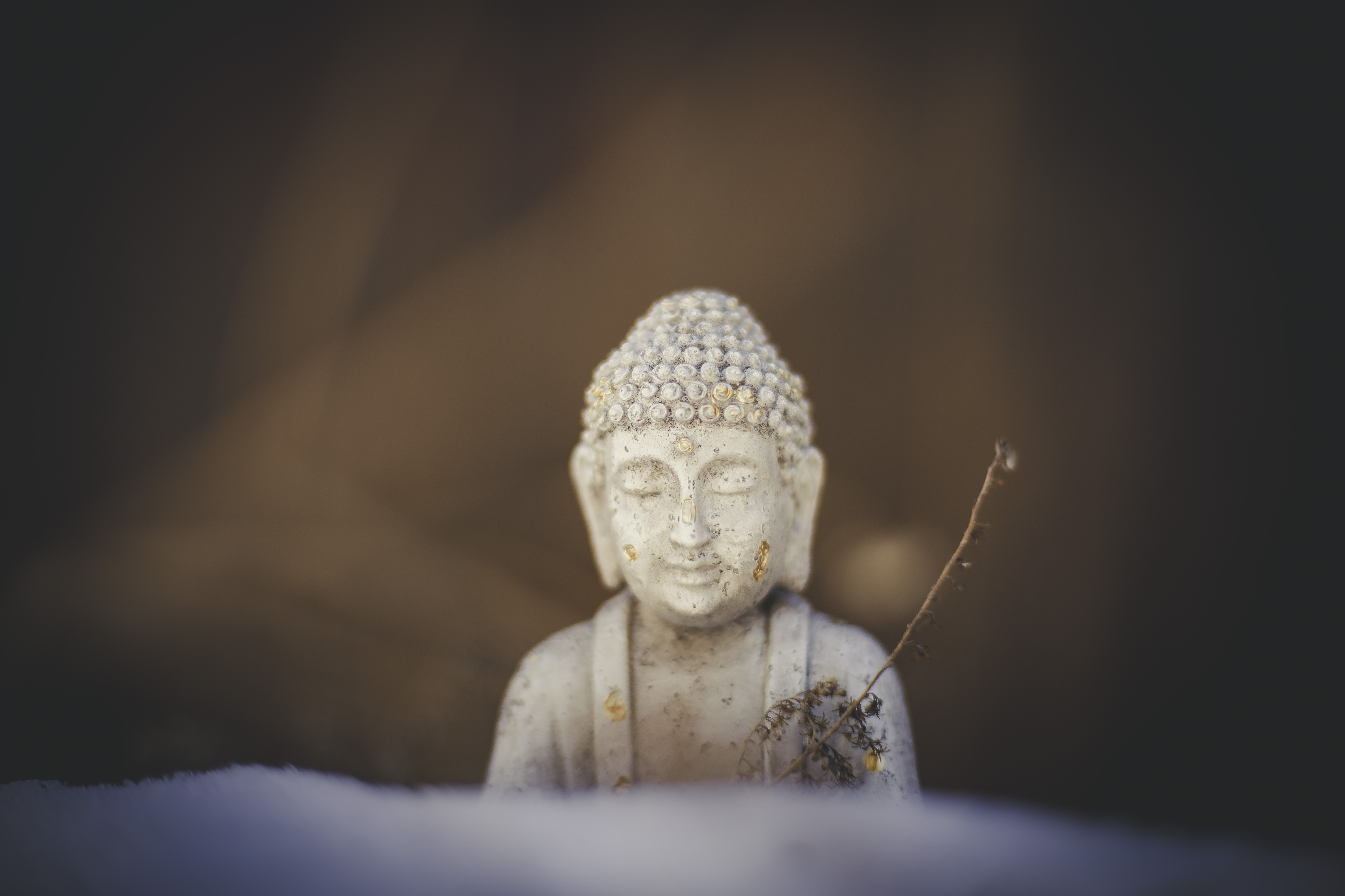 The Judging Mind – Insight Meditation Society
