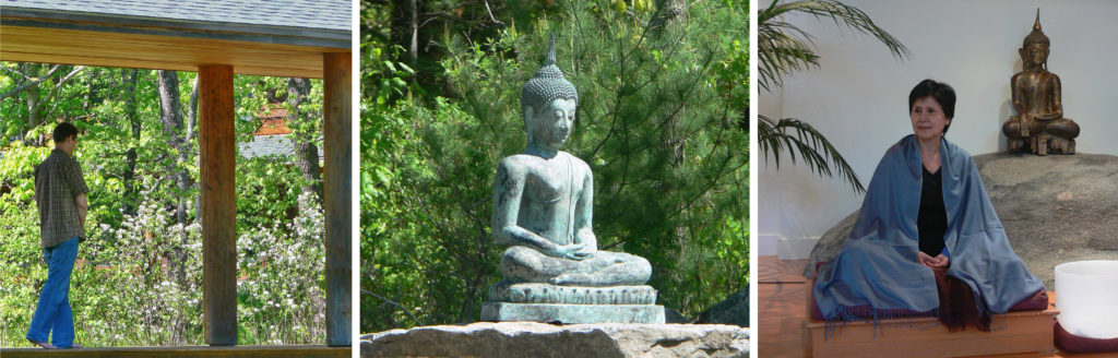 2020 Forest Refuge Schedule ~ Applications Welcome – Insight Meditation