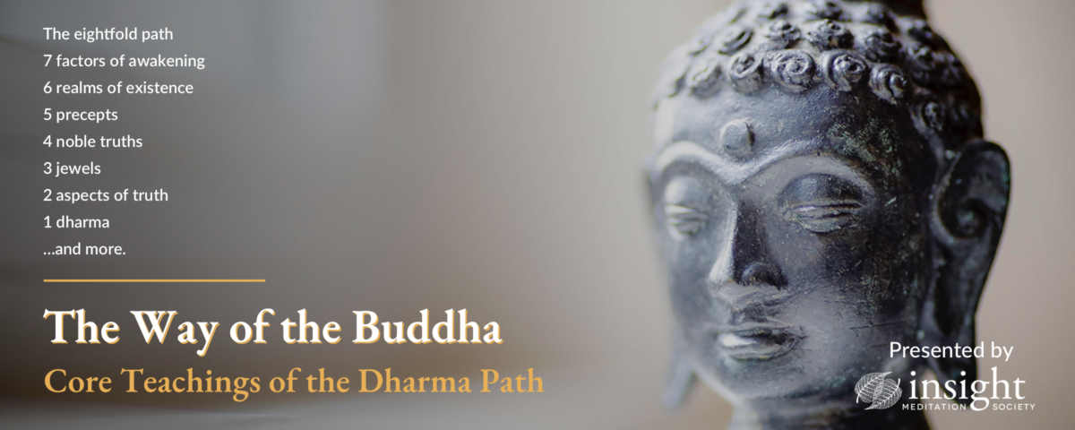 IMS The Way of the Buddha Core Teachings of the Dharma Path