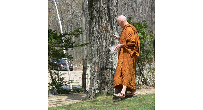 While offering a course at the Retreat Center in 2011, Ajahn Sucitto blessed trees that needed to be removed to make way for the upcoming construction of a new dormitory. The timber from the trees was later utilized in the building.