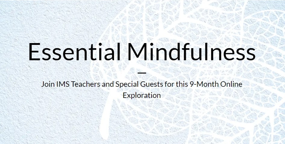 essential mindfulness