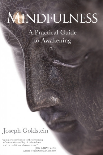Mindfulness Guide to Awakening